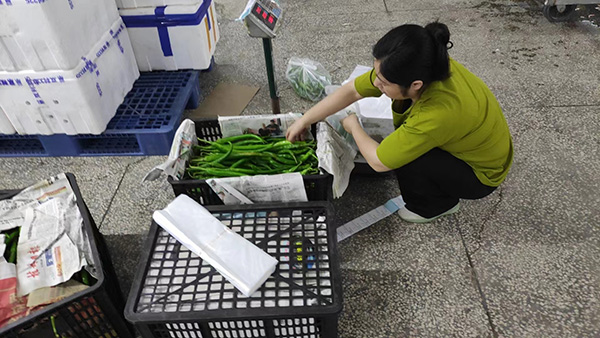 �n��(gu��)̼�к�